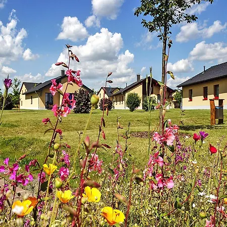 In Markkleeberg, Cleaning Included Holiday home